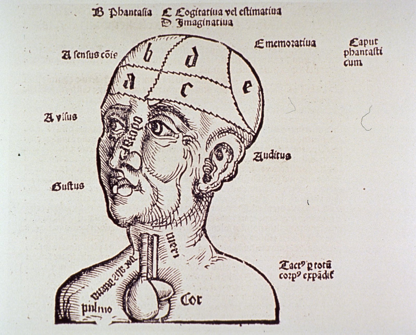 All in My Head? The Science of Esoteric Mentalism