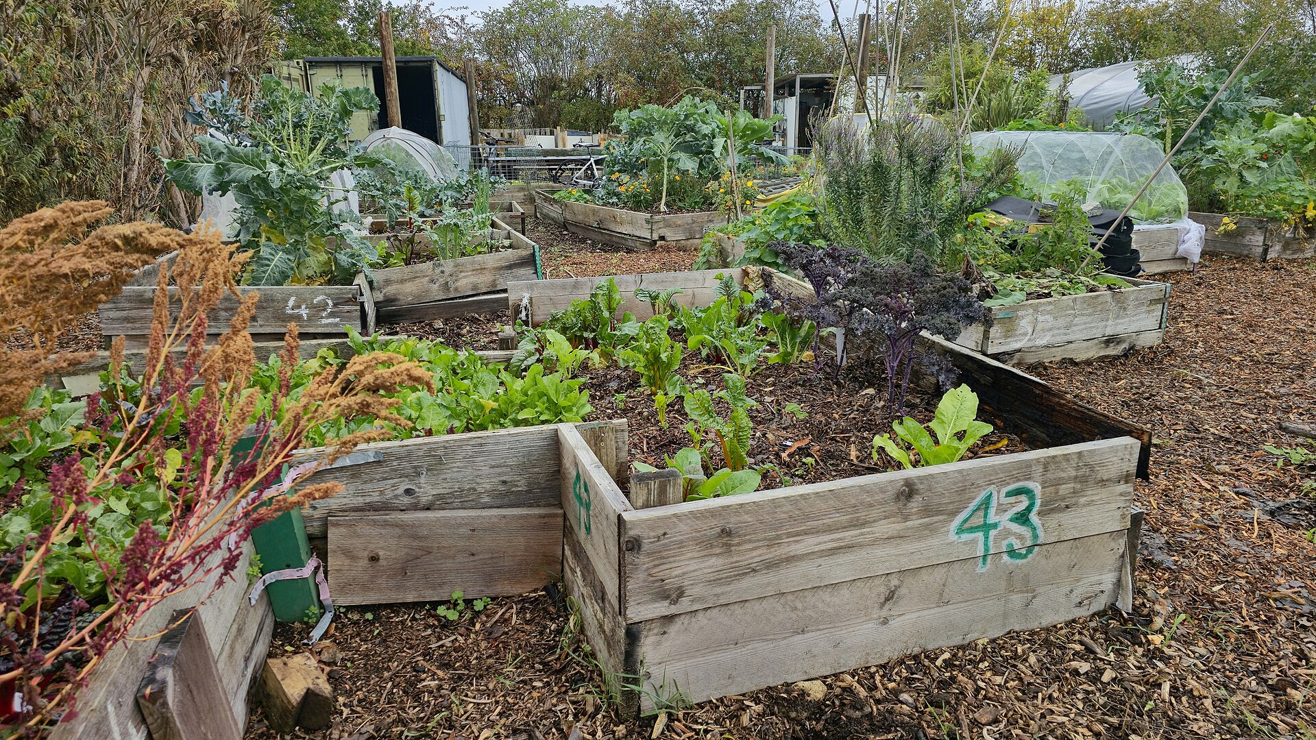 No Dig Gardening