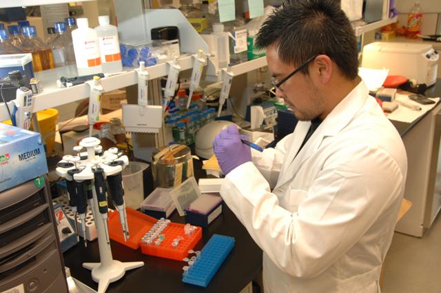 The Role of a Clinical Engineer